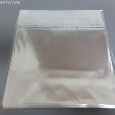 Resealable Protective Album Sleeves (1 Bundle)